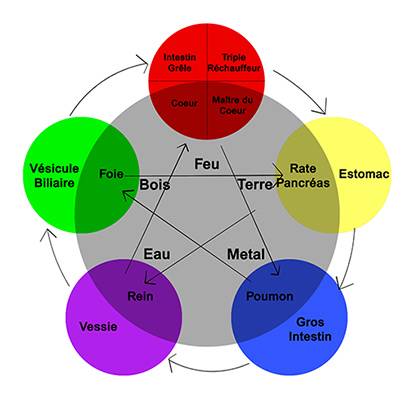 Circulation du QI dans les méridiens d’acupuncture Lyon 69