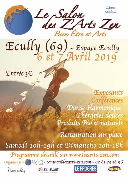 affiche salon les Arts Zen Michele Flory Ecully